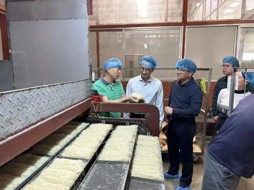 時(shí)隔20年, 燕子 牌排粉正式回歸 江門外海 似曾相識(shí) 燕 歸來