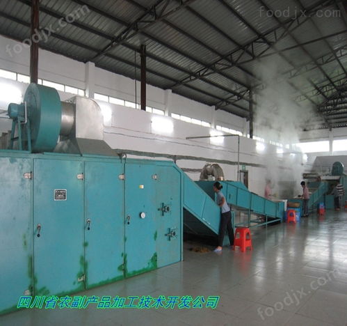 高良姜烘干機與電熔鎂生產 良姜快速干燥的關鍵設備